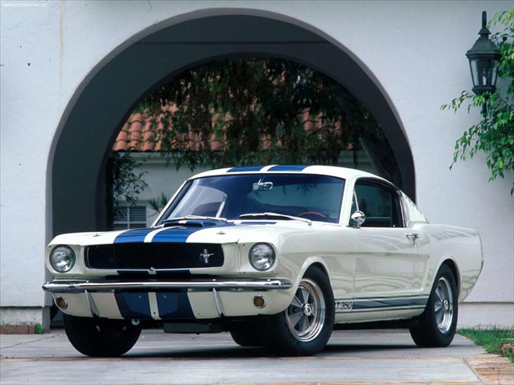 Tapety - 78 Sharon - auta_Ford-Mustang_Shelby_GT350_1965.jpg