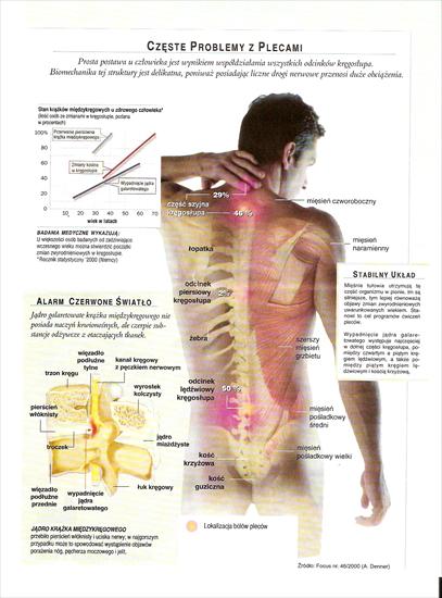 MapaCiala - Problemy z plecami - ćwiczenia kręgosłup plecy 01.jpg