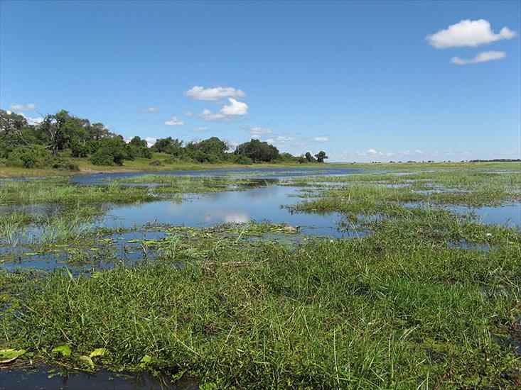 Botswana - Zambezi_river_Botswana.jpg