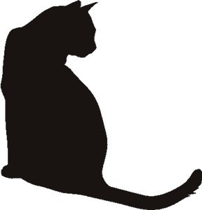 czarno-biale motywy - cat.jpg