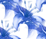 Tła kwiatowe bezszwowe - 0_4e793_fd94f8ed_S.jpg.png