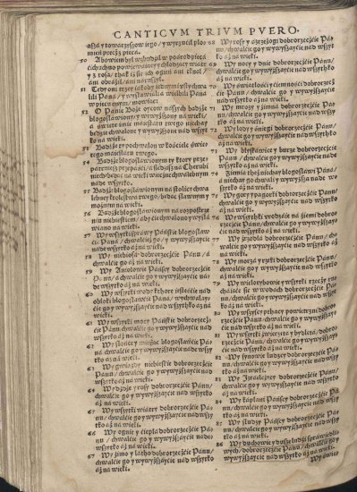 Biblia Brzeska 1563 Color 2000p JPGs - Biblia Brzeska 1131.jpg