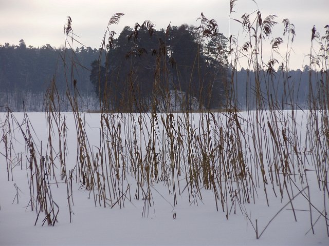 Mazury -zimowe pejzaże-fotki Sebastiana - 2_lutego_2009.jpg