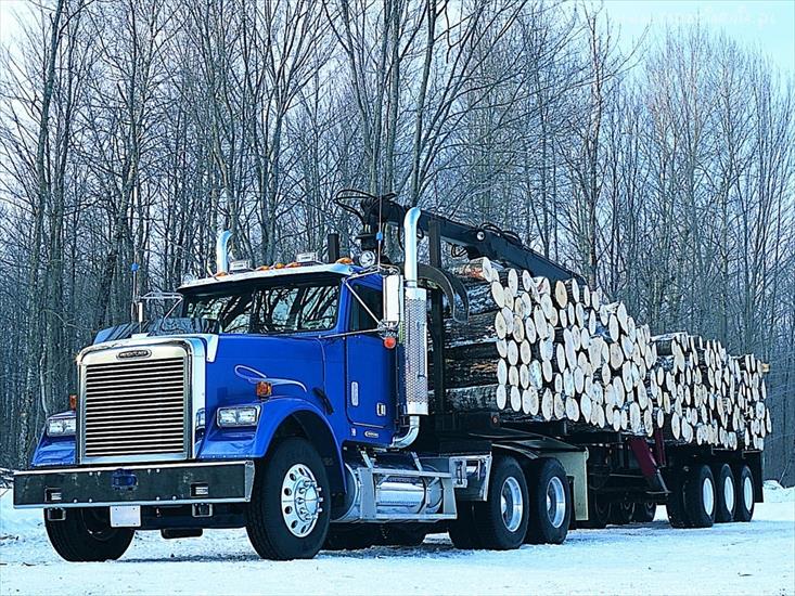 Samochody ciężarowe-A - 658_sterling_truck_drewno_las.jpg