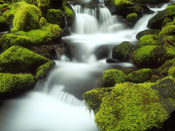 Rzeki, potoki - Sol Duc Stream, Olympic National Park, Washington.jpg