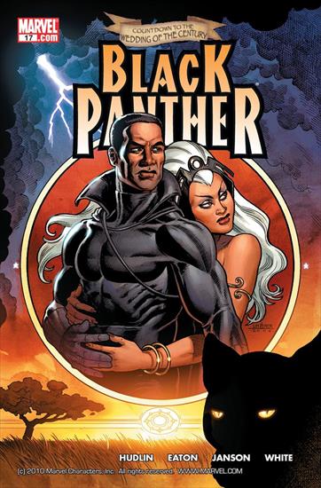 Black Panther v4 2005-2008 - Black Panther 017 2006 digital Minutemen-Faessla.jpg