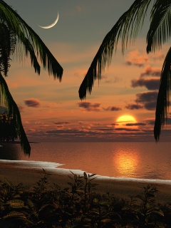 gelson1 - Sunset_Beach.jpg