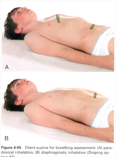 Anatomia masażu - 4-55.JPG