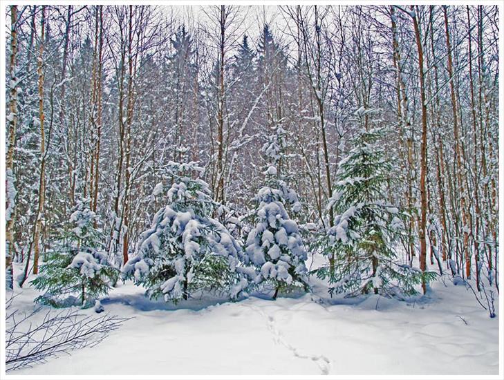Pejzaż zimowy - by Boris Volchek.jpg
