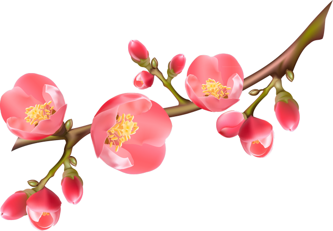 Kwiaty wiśni i jabłoni - 0_10fa35_99824c2f_XL.png