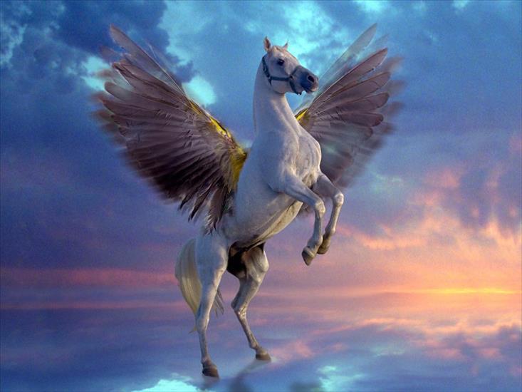 Grafika 3D - Mystical Pegasus.jpg