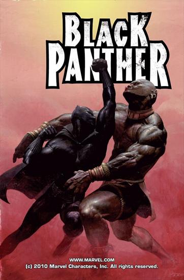 Black Panther v4 2005-2008 - Black Panther 002 2005 Digital Shadowcat-Empire.jpg