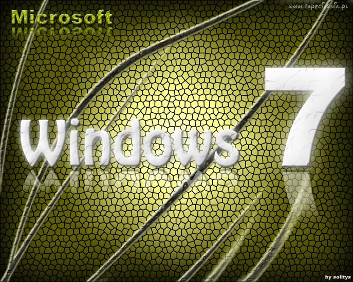 Windows - 61.jpg